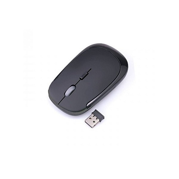 SOURIS SANS FIL MACRO SPIDER M210